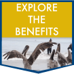 Explore the benefits